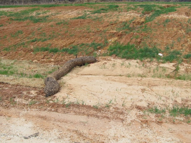 EcoWattles cross channel at Biomass Power Plant #5